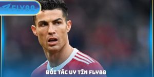 ảnh đại diện đối tác uy tín fly88