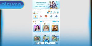 ảnh đại diện link fly88
